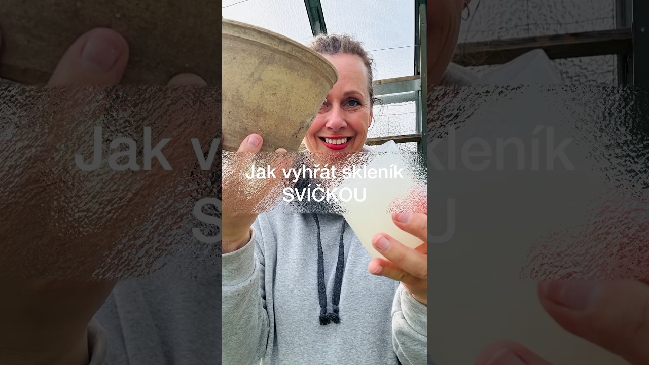 Tohle zachrání vaše sazenice ve skleníku!