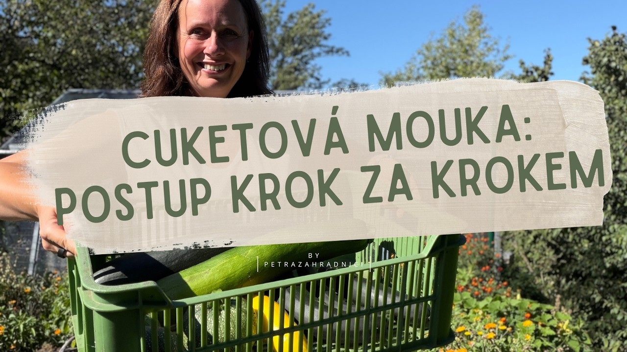 Recept na cuketovou mouku: nahradí jíšku a můžou ji i bezlepkáři