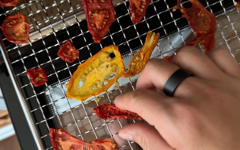 recept sušená rajčata