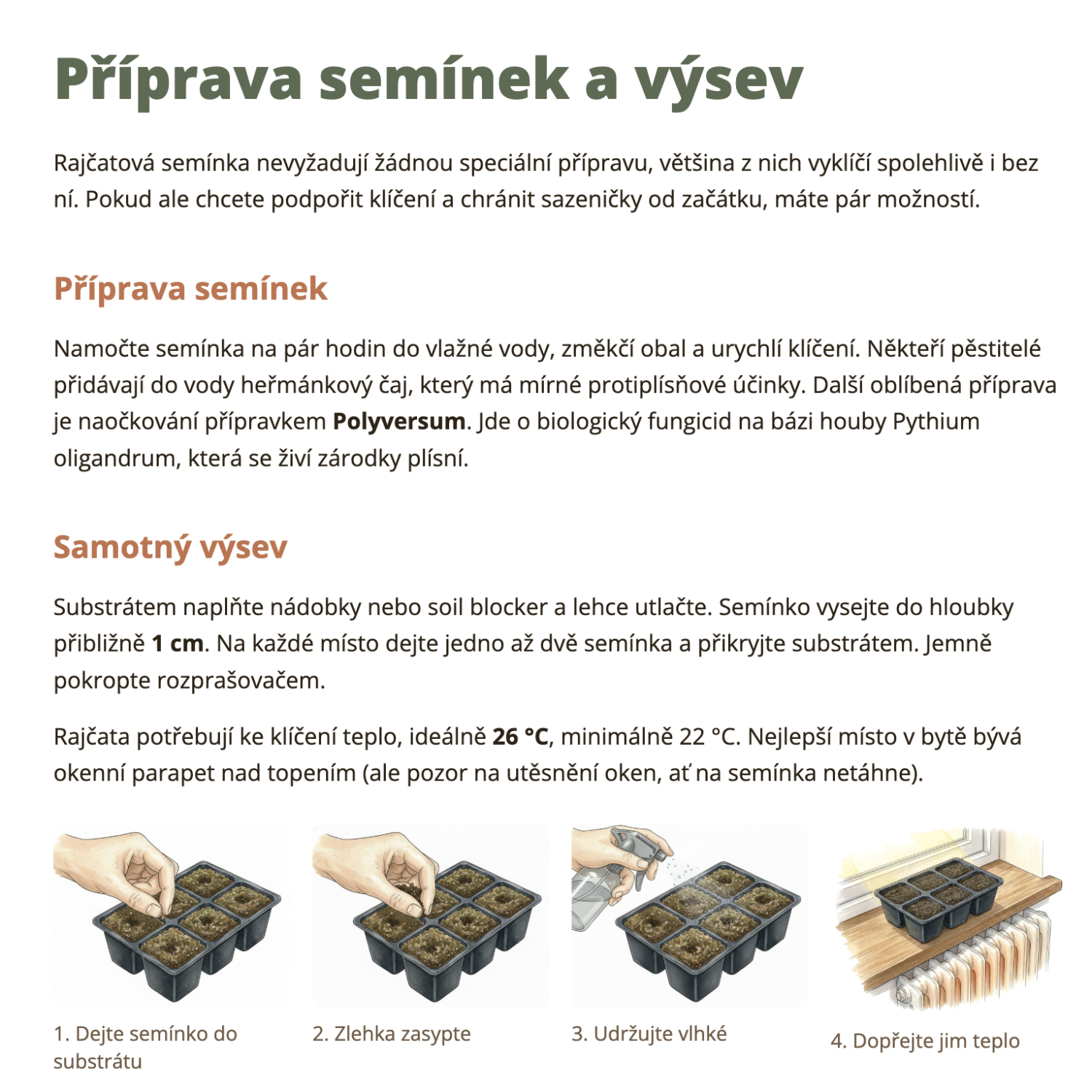 výsev rajčat