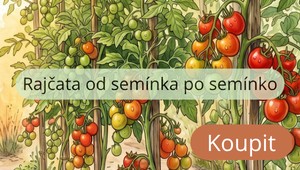 rajcata-ebook-banner-novy Rajčata od semínka po semínko, e-book